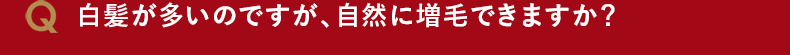 白髪が多いのですが、自然に増毛できますか?