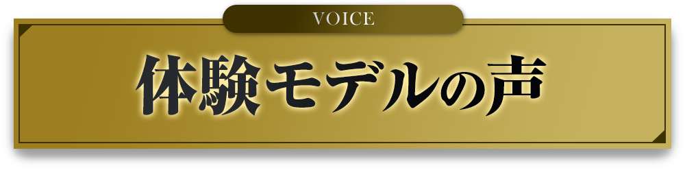 VOICE 体験モデルの声