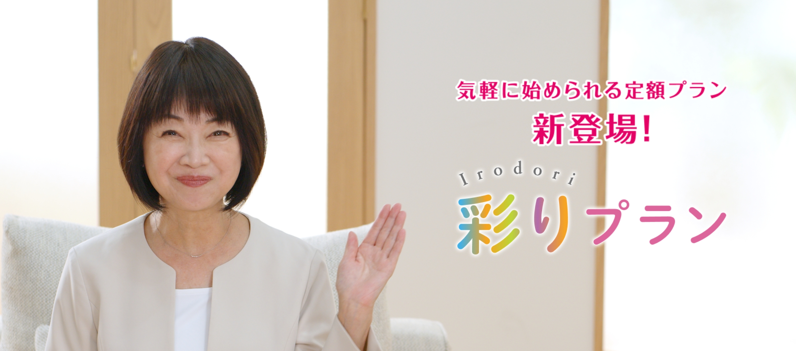 彩りプラン