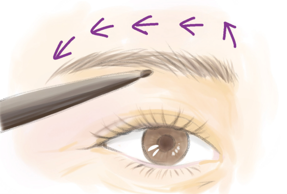 眉ペンシルで毛の隙間に短い線を描き足すイラスト