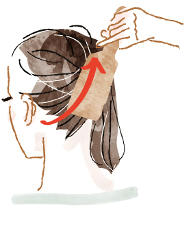 襟足から頭頂部に向かってブラシでとかし上げるイラスト