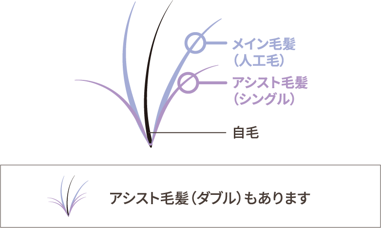 メイン毛髪（人工毛）アシスト毛髪（シングル）自毛