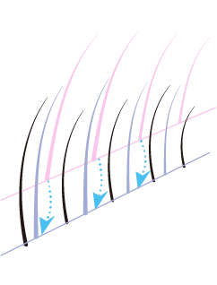 プラスタライン
