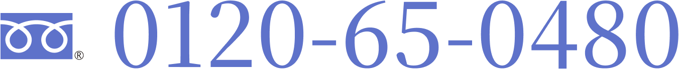 0120650480