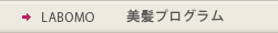  fB[X}[v
