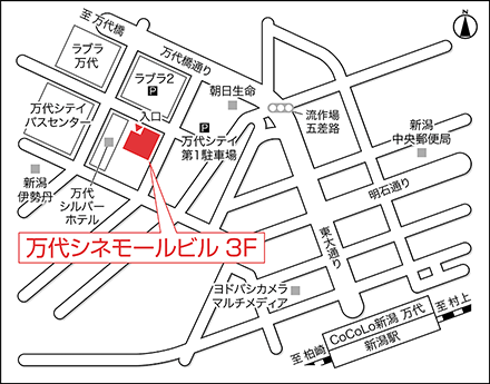 アートネイチャー レディース新潟サロン 地図画像