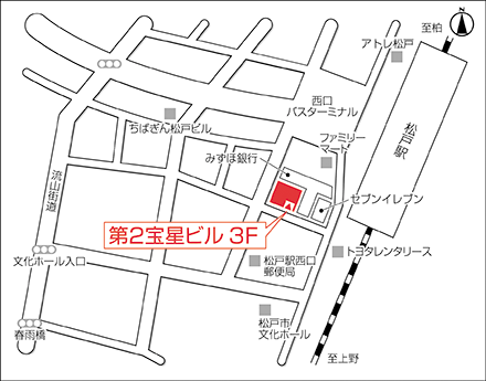 アートネイチャー レディース松戸サロン 地図画像
