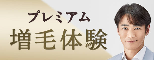 Ẵv~Aё̌