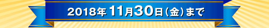 2018年11月30日（金）まで