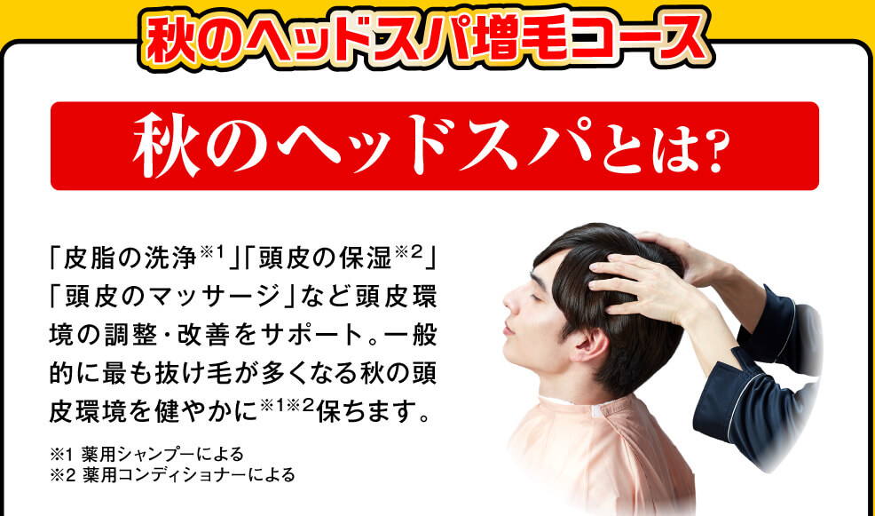 秋のヘッドスパとは？
