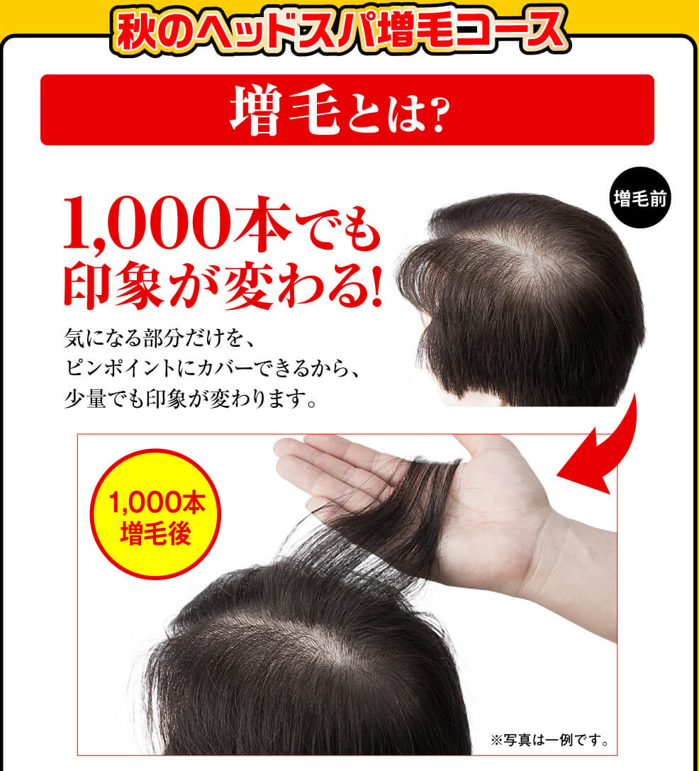 増毛とは？ 1000本でも印象が変わる！
