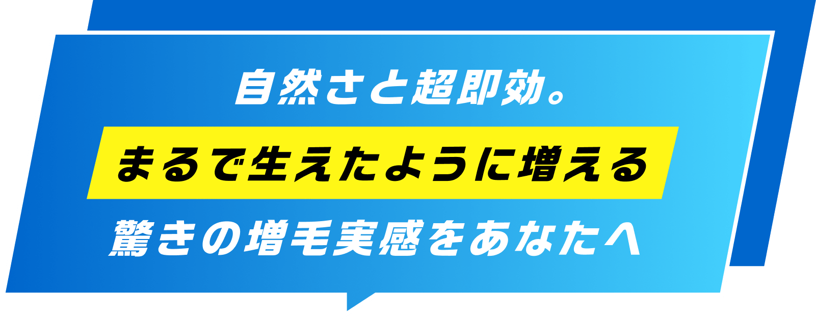 体験・事例紹介 お客様の実際の声をご紹介