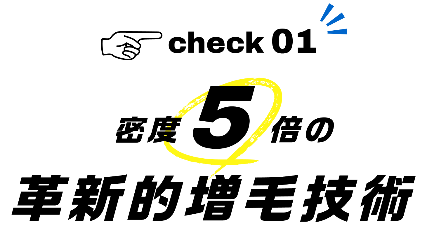 check 01 革新的増毛技術密度5倍の革新的増毛技術