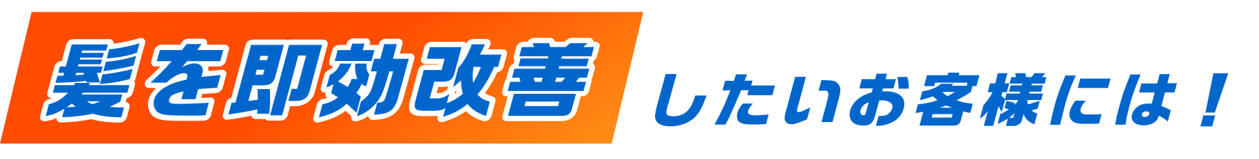 髪を即効改善したいお客様には！
