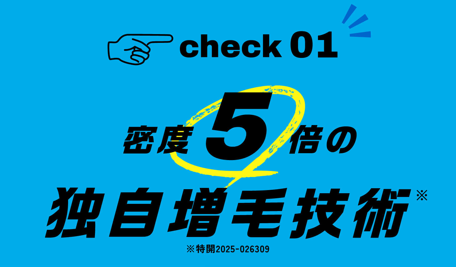 check 01 密度5倍の独自増毛技術　※特開2025-026309