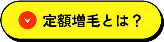 定額増毛とは？
