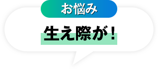 お悩み 生え際が！
