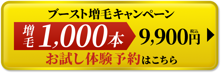 ブースト増毛キャンペーン 増毛1000本 9,900円税込 お試し体験予約はこちら