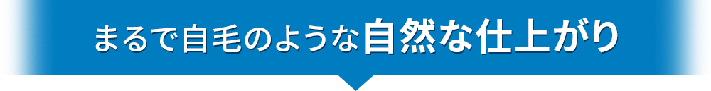 まるで自毛のような自然な仕上がり