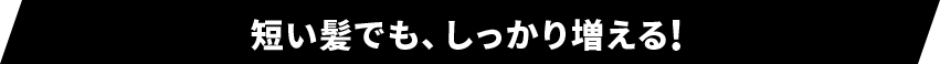 短い髪でも、しっかり増える!