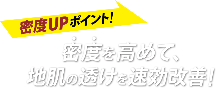 密度UPポイント!密度を高めて、地肌の透けを速効改善！