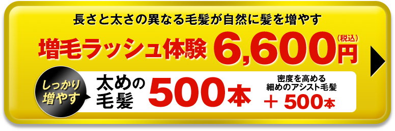 長さと太さの異なる毛髪が自然に髪を増やす 増毛ラッシュ体験6,600円（税込）しっかり増やす太めの毛髪500本+密度を高める細めのアシスト毛髪500本