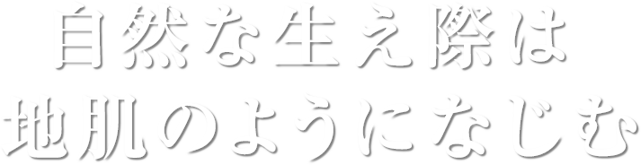 自然な生え際は地肌のようになじむ