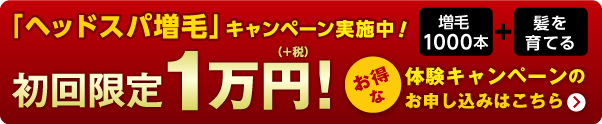 WRP体験キャンペーン実施中！　お申し込みはこちら