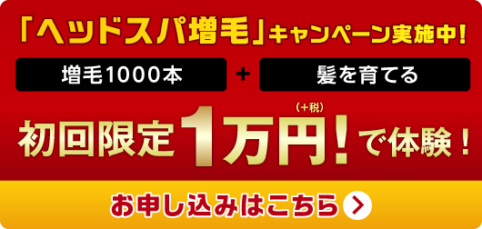 WRP体験キャンペーン実施中！　お申し込みはこちら