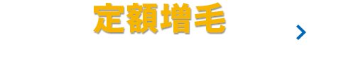 定額増毛 Webからのお申し込み