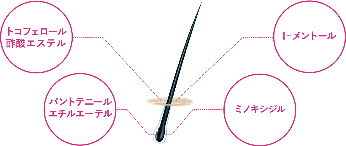 女性の頭皮を考えた独自の処方 ４つの有効成分が含まれています