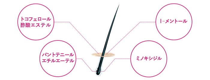 女性の頭皮を考えた独自の処方 ４つの有効成分が含まれています