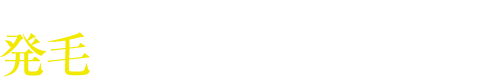 発毛の疑問にお答えします